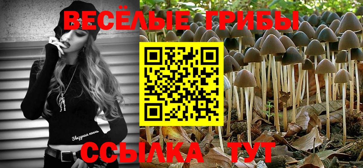 Галлюциногенные грибы мухоморы  Вход с VPN  Урус-Мартан 